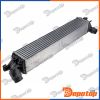 Intercooler pour RENAULT | CNG-RE-004, 30312